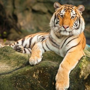 Meet your Posher, Yvette